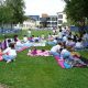 Día de Picnic