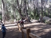 dscf1693