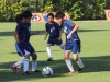 dscn5561_