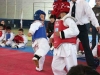 Campeonato-de-Rengo-2011-Said