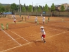 tenis 14