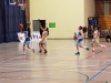 BASQUETBOL SSCC 11