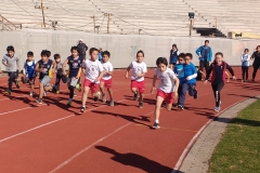 IMG_20180616_135009777 (1)