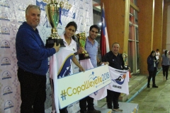 Copa weyelfe 1