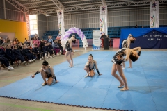 pelarco 16