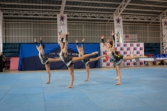 pelarco 17