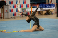 pelarco 19