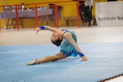pelarco 5