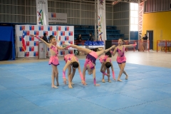 pelarco 9