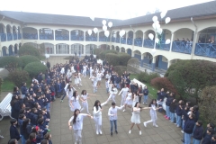 DSC00097