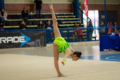 DSC_8338