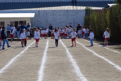 DSC00538