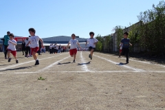 DSC00542