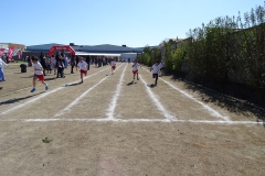 DSC00554