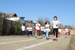 DSC00605