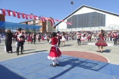 DSC00800