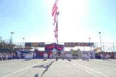 DSC00861