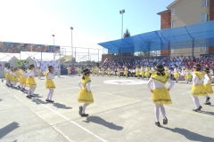 DSC01003