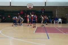 foto_basket000001