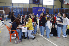 Juegos-Recreativos-6