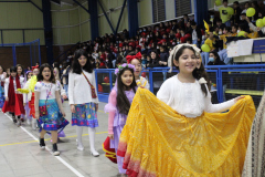 desfile-A.-Amarilla-2