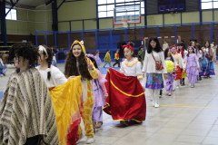 desfile-A.-Amarilla-4