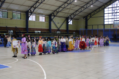 desfile-A.-Amarilla-7