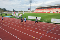 IMG_20230818_164123429-copia