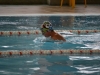 lucas arellano campeonato nacional infantil de invierno natación 2017