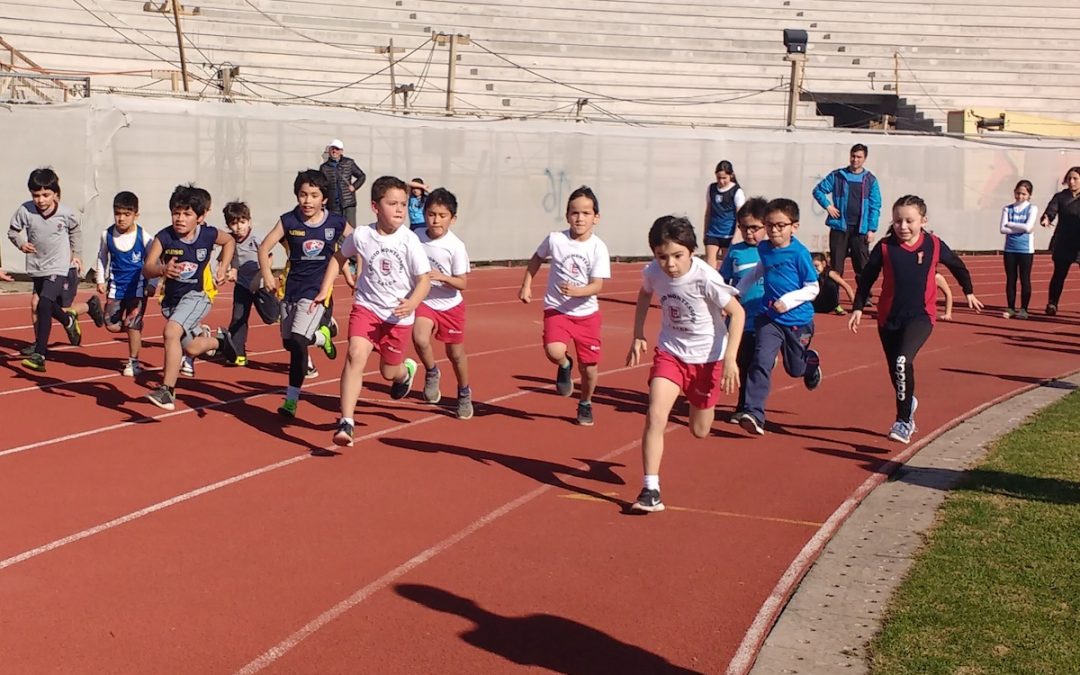 Torneo de Apertura Club Atlético Piduco
