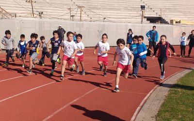 Torneo de Apertura Club Atlético Piduco