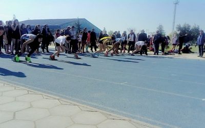 Copa Soprole Zona Sur