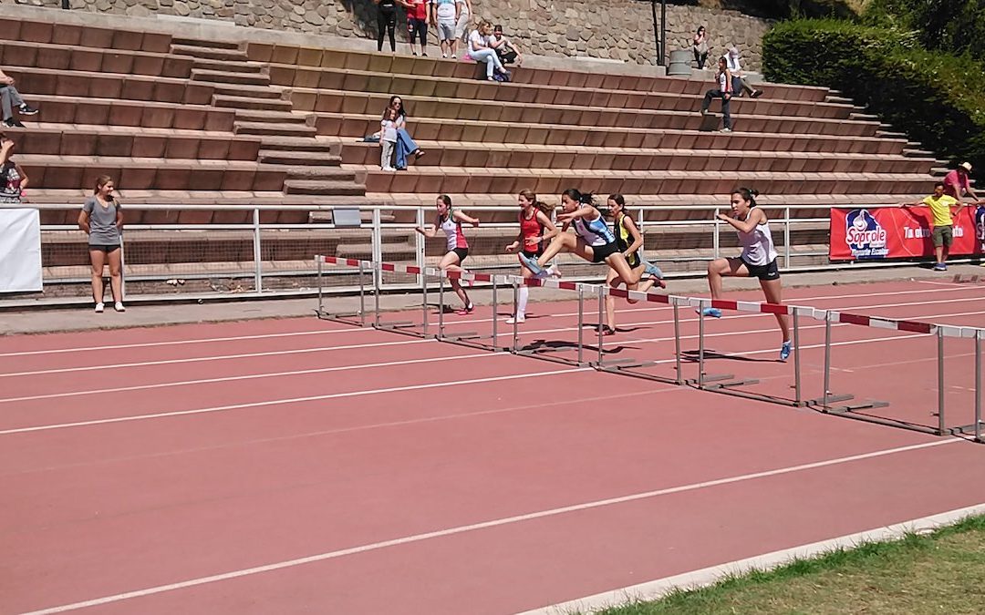 Interescolar Mixto Rolf Hoppe