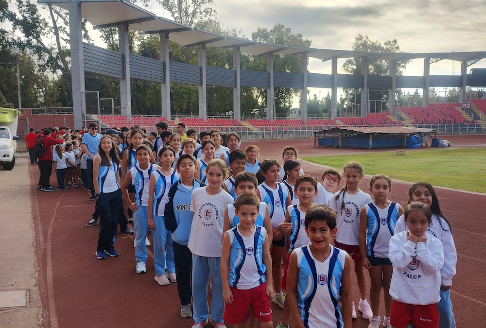 Destacada participación en el 1° Cross Country Escolar DAEM