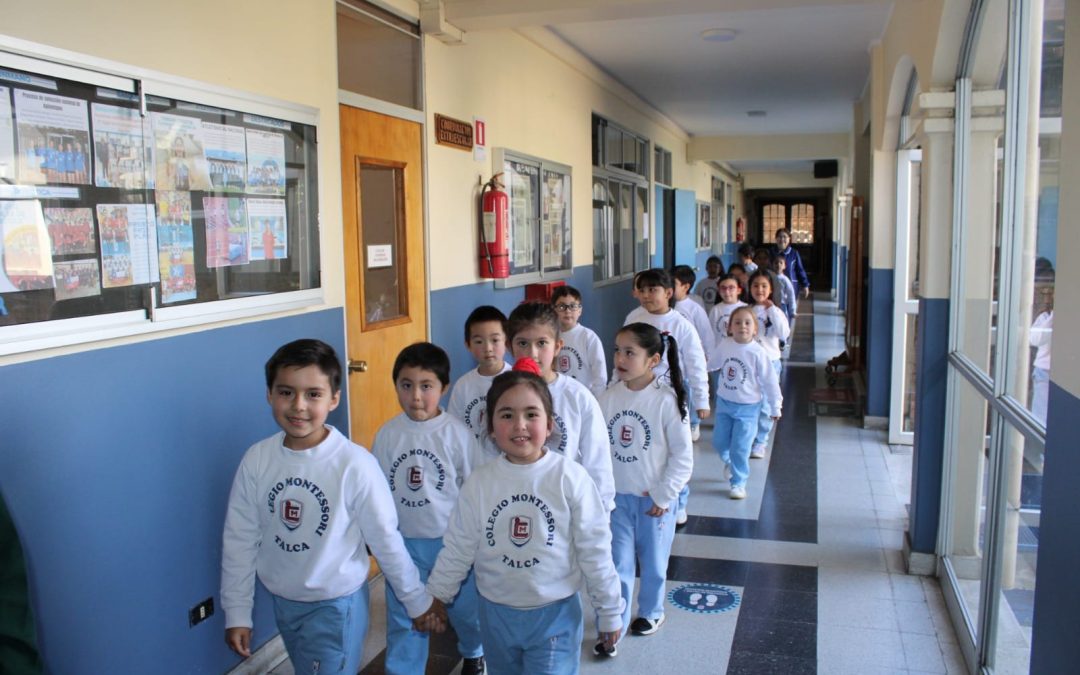 Pequeños exploradores
