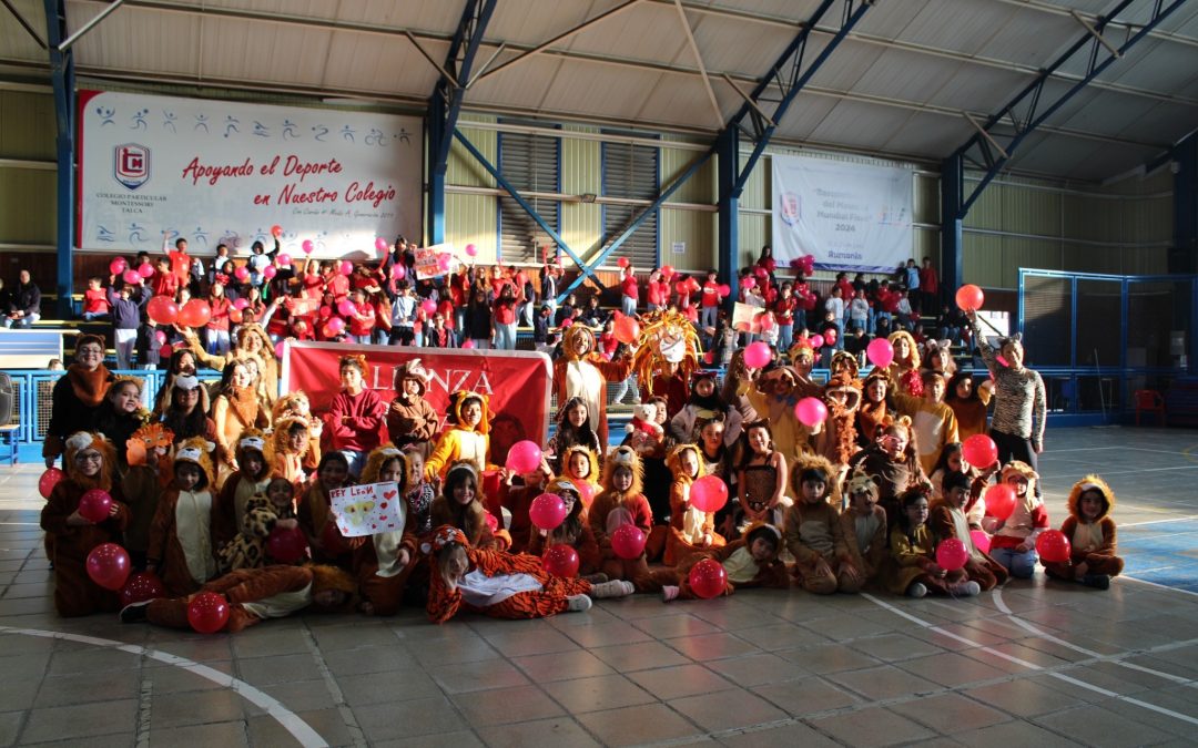 Aniversario N°41 actividades Enseñanza Básica