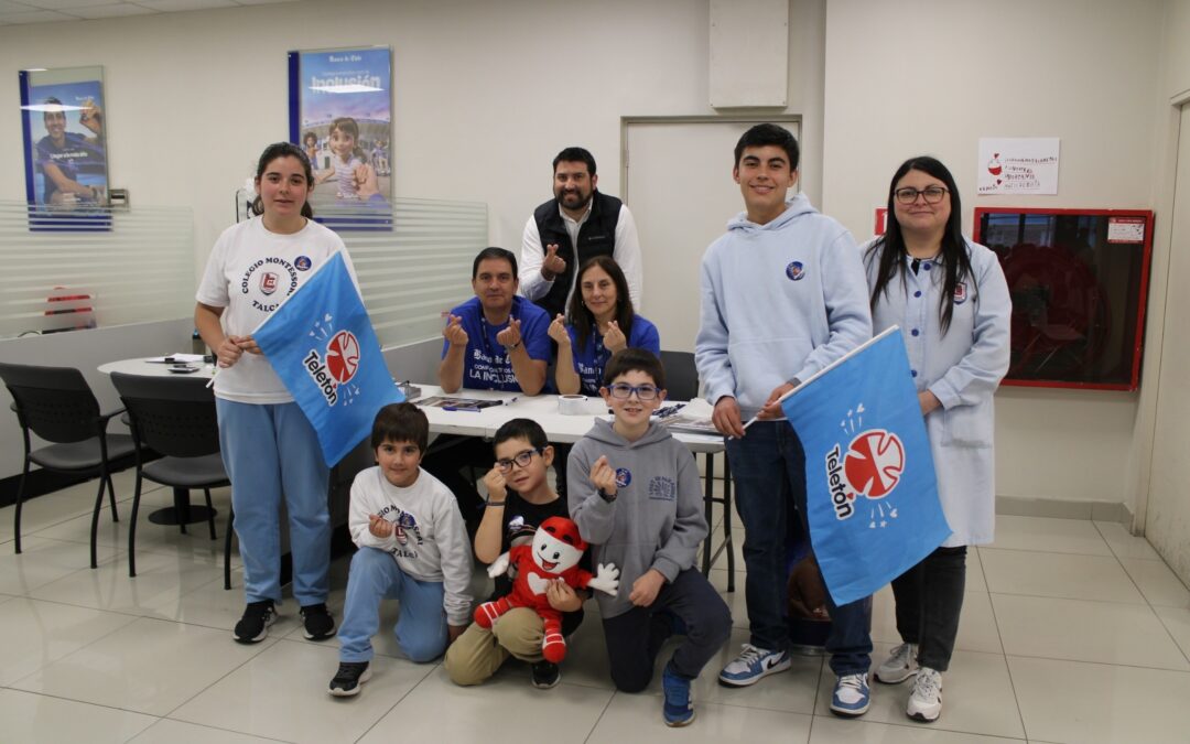 Participación de enseñanza básica y media en la campaña Teletón 2025