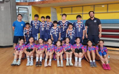 Liga Iniciación de Balonmano en el Gimnasio Regional