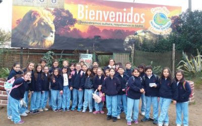 Viaje Pedagógico 3º Básico Casa de Noe