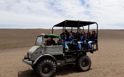 Finalización Taller de Ecología EKOS