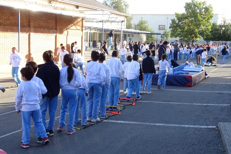 Día Mundial de la Actividad Física