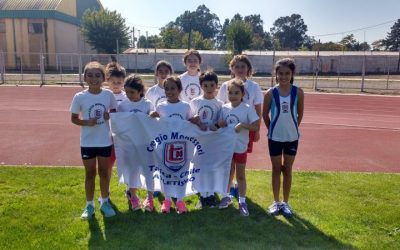 Torneo de Apertura Curicó